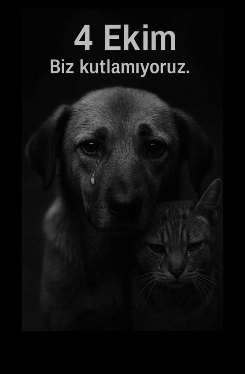 Hayvanları korumayan, ölümlerine davet çıkaran bu Yasa olduğu sürece #4EkimiKUTLAMIYORUZ