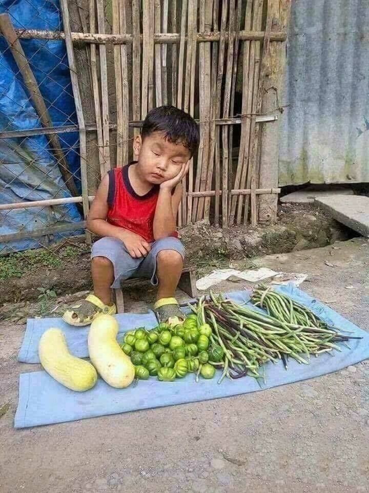 Laxmi47584355's tweet image. इनकी दुकान तो चल पड़ी भई. 😍😍 

मैं तो अपनी सब्ज़ी इसी क्यूट से सेठ से लूंगी. 

क्या आप भी लेंगे?