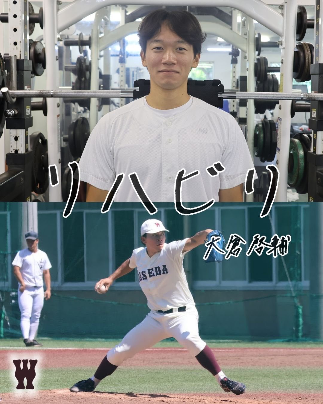 超美品26.5早稲田大学野球部スパイク 超美品26.5早稲田大学野球部スパイク - メルカリ