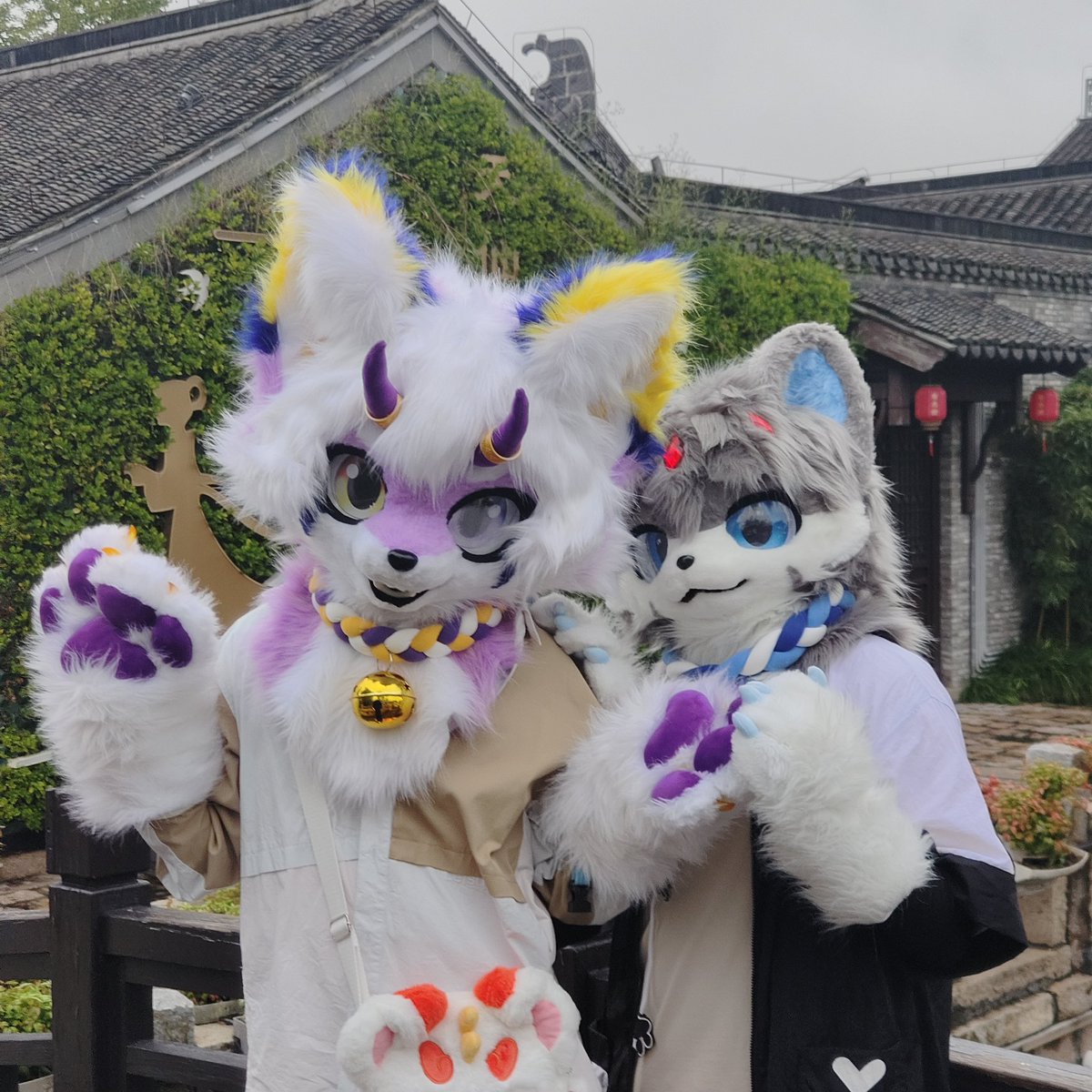 dianfox330's tweet photo. https://t.co/KGd5GvprTR