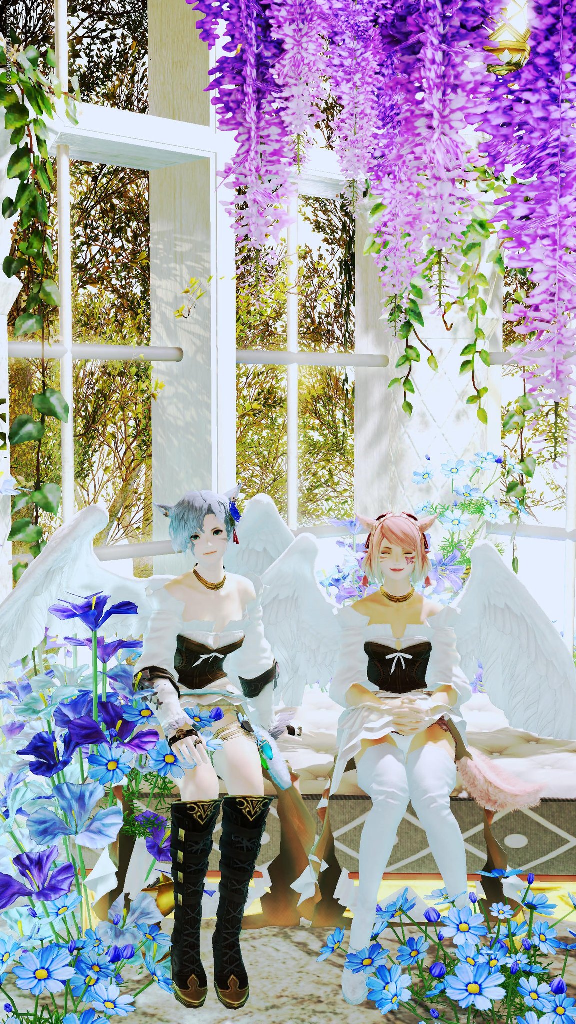 KANOAページ♡⃜ 床ペロ】カノン🌸(ビャクヤ🌹) on X: 