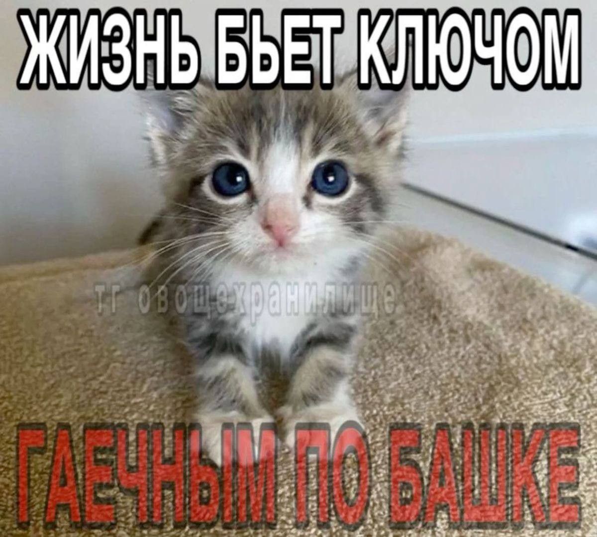 KruinnBogdeoir's tweet photo. https://t.co/VfGI0oXy0a