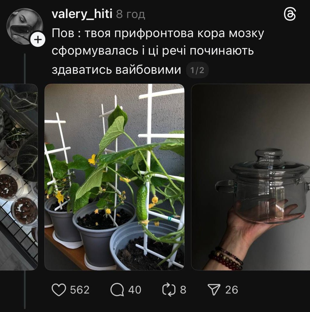 Прифронтова кора мозку в кожного вкраїнця формується десь під Краматорськом