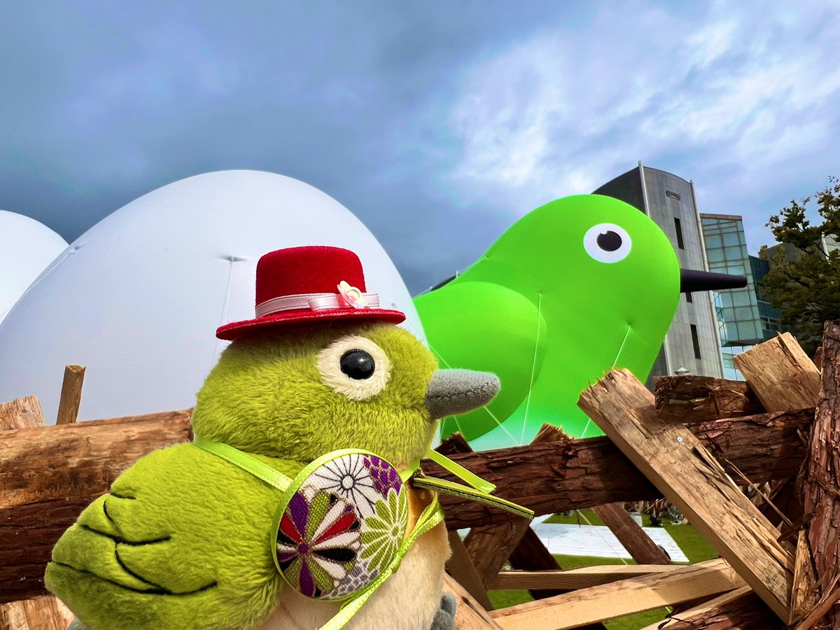 mokotaimo's tweet image. #TOSUNESTIVAL

雨パラパラなうちに巨大メジロさんを堪能して、大雨で電車がストップする直前にタクシーを捕まえて無事に空港に到着したので帰ります✈️✨
楽しかったTOSU NESTIVAL
このためだけに福岡・佐賀に来た甲斐があったってもんよ☆
メジロ愛を爆発させてきました。↓