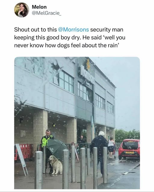 Kewrail_UK's tweet photo. Whatever @Morrisons are paying this guy, it's not enough. True leadership material right there. https://t.co/nCDDEjMG9X