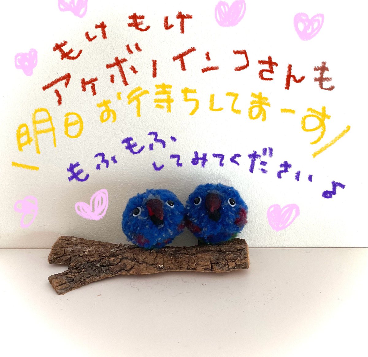 Torikobo tweet media