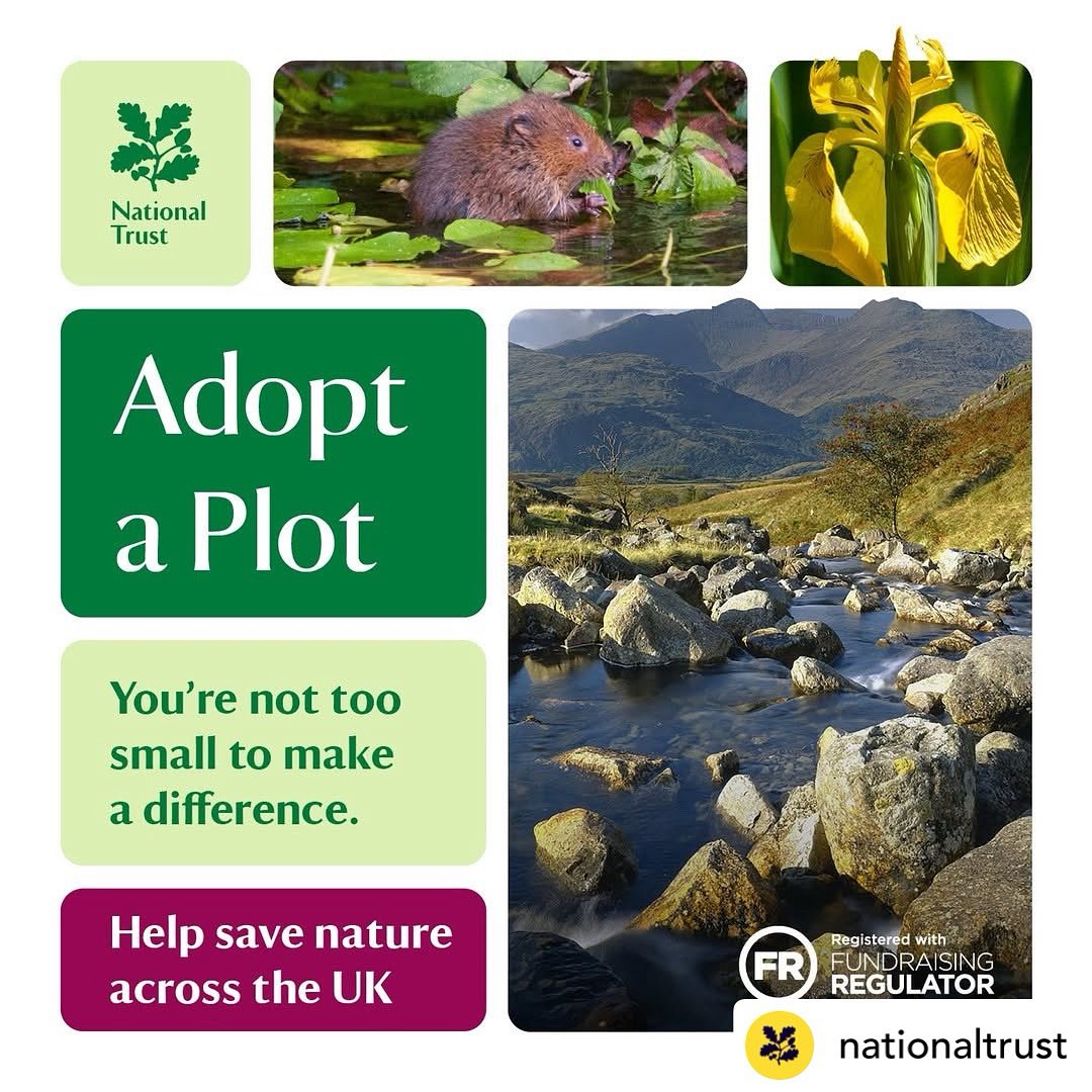 fifi3chui_'s tweet image. Let’s help nature @nationaltrust  #plot