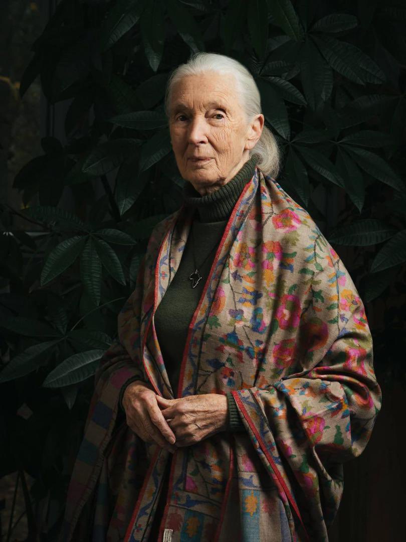 𝗛𝗼𝗻𝗼𝘂𝗿𝗶𝗻𝗴 𝘁𝗵𝗲 𝗟𝗲𝗴𝗮𝗰𝘆 𝗼𝗳 𝗗𝗿. 𝗝𝗮𝗻𝗲 𝗚𝗼𝗼𝗱𝗮𝗹𝗹 🌍

The world mourns Dr. Jane Goodall, the trailblazing primatologist whose work with chimpanzees reshaped how we see animals. Her lifelong devotion to nature will continue to inspire generations to come.