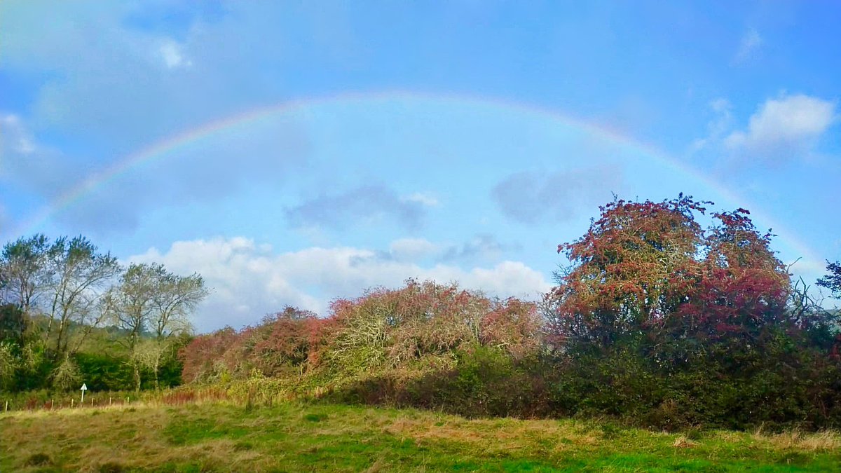 davies_parry's tweet image. #Wind and #rainbows this 🌈#saturdaymorning in #Pontypridd! 🌈 @StormHour @ThePhotoHour 🌈 @ITVWales @Ruth_ITV @itvweather 🌈@S4Ctywydd @metoffice 🌈#loveukweather @ItsYourWales
