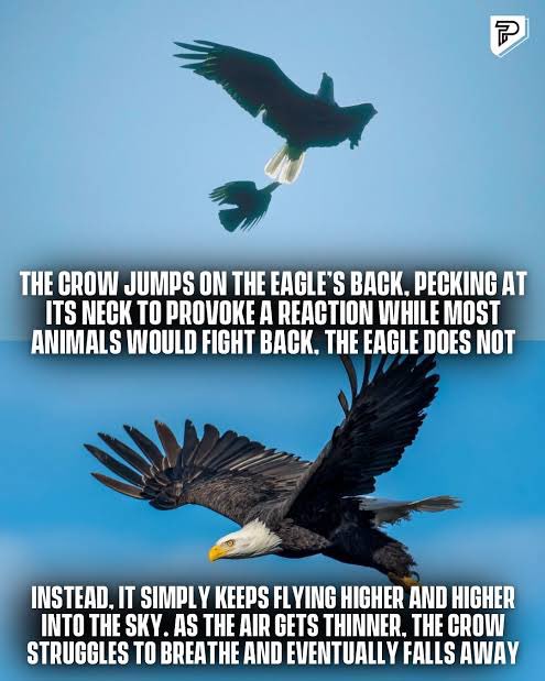 Uthmangetso's tweet image. Gm to you