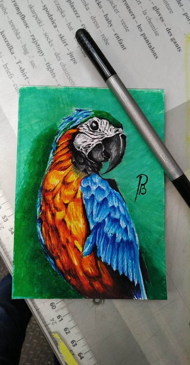 Kolejny starszy rysuneczek
W pracy koleżanka znalazła markery i przyniosła bym WREŚCIE coś w kolorze zrobił.
Papużka na jakieś 3 latka teraz :3