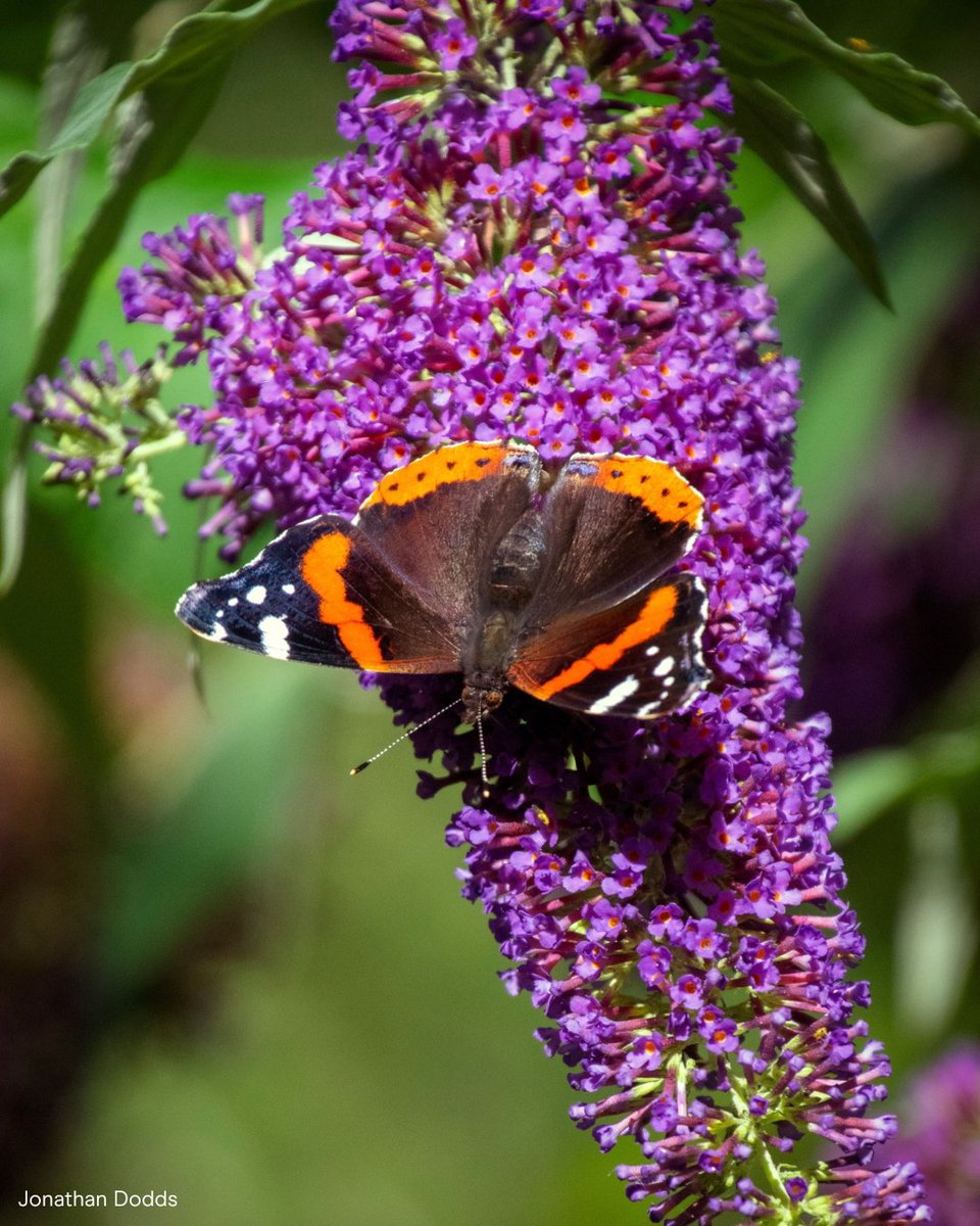 Canal & River Trust tweet media