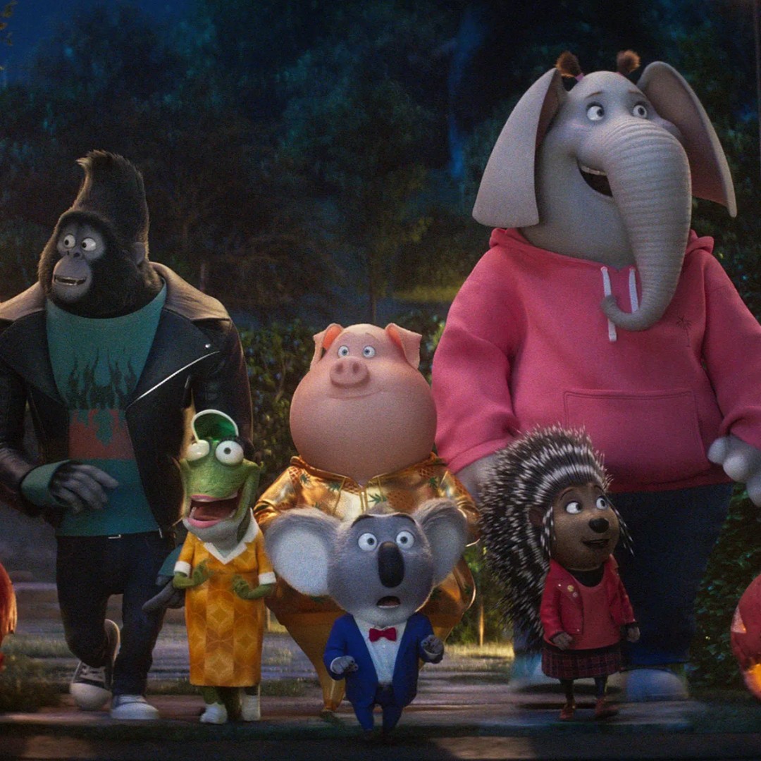 Chester Picturehouse tweet media