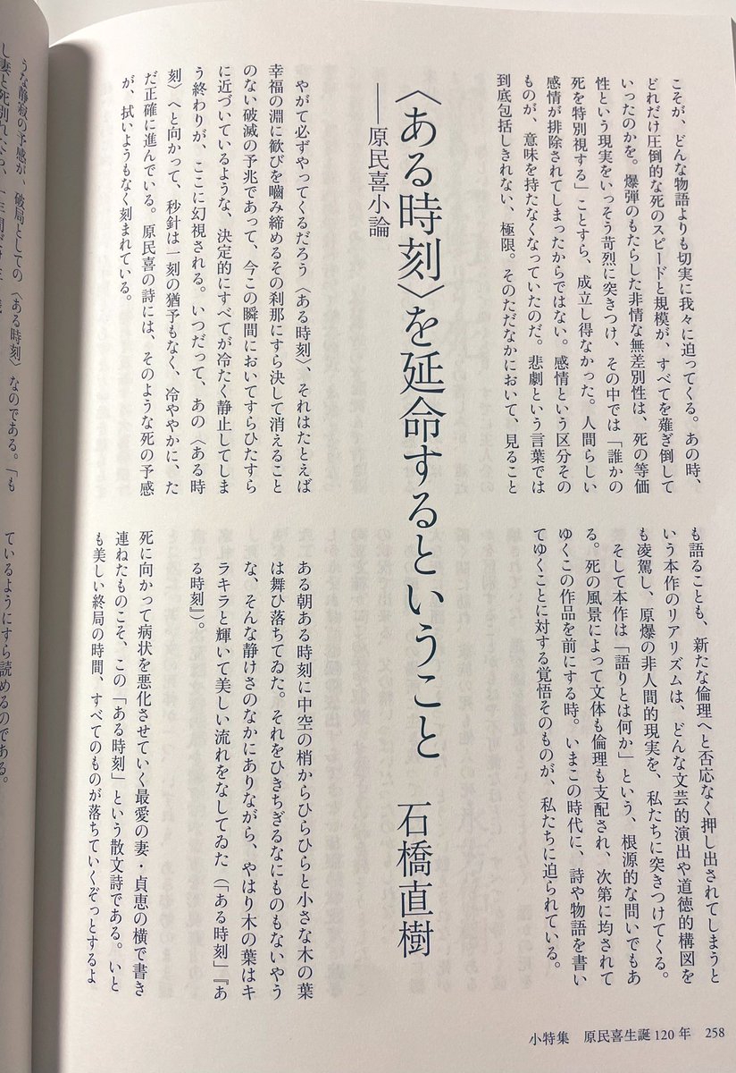 石橋直樹/Ishibashi Naoki tweet media