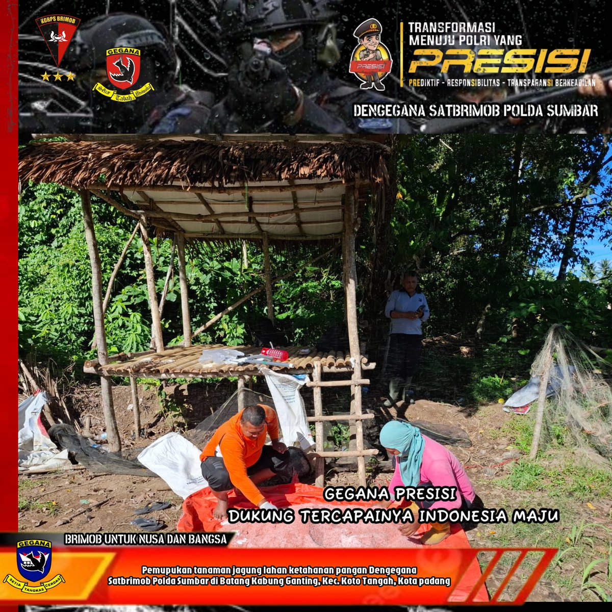 Geganasumbar's tweet photo. Anggota Dengegana Satbrimob Polda Sumbar melaksanakan pemupukan tanaman jagung lahan ketahanan pangan Dengegana dipimpin Iptu Eriyanto di Kel. Batang Kabung Ganting, Kec. Koto Tangah, Kota Padang.

#gegana
#brimobuntuknusadanbangsa
#presisi
#polri https://t.co/3aPCstLJBc