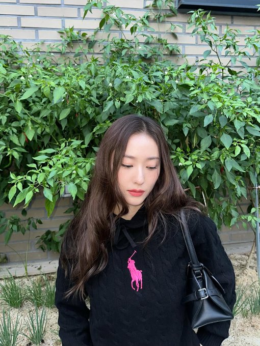Krystal Jung wearing a black hoodie with a pink Polo Ralph Lauren logo on the chest. She has long brown hair and carries a black handbag. The background features green leafy plants and a brick wall. In another image, Krystal Jung is seen from behind, wearing a black cap with "Pink Pony" text in pink.