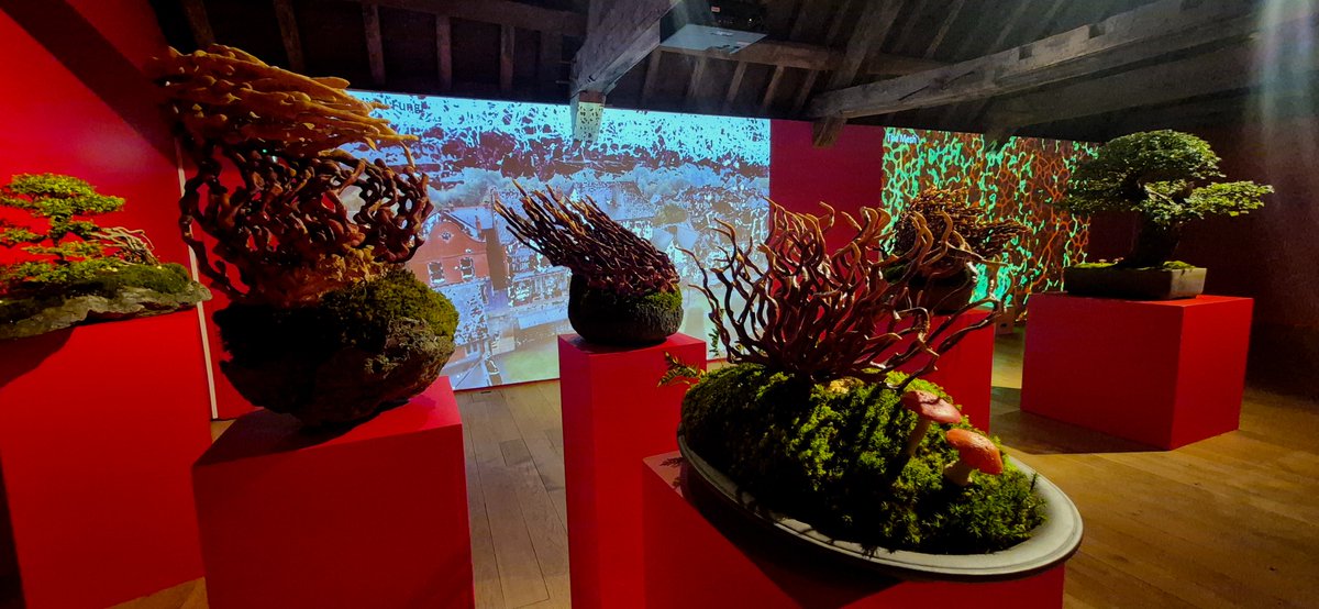 Genetic Moo tweet media