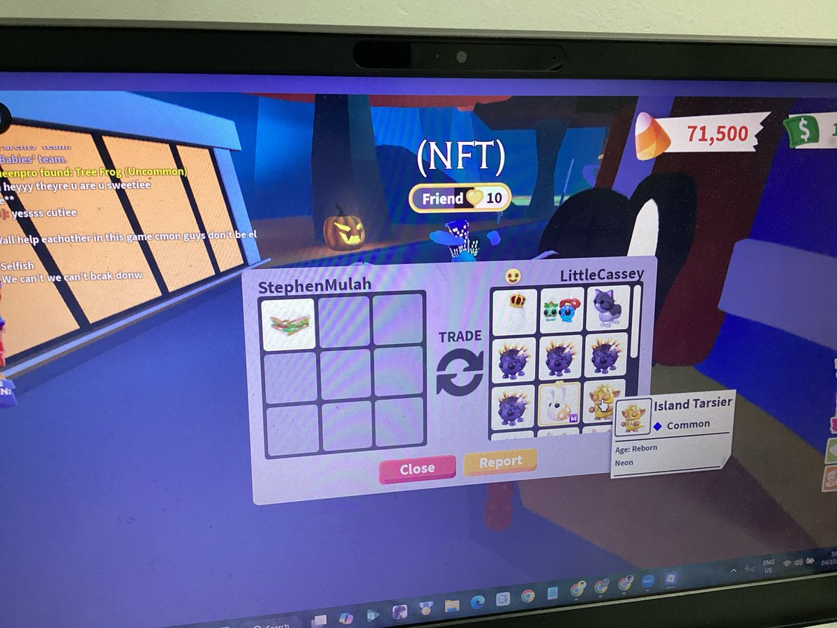 _MyNumberOne_'s tweet photo. @mistglooms another vouch! ^^ 

Gave 160k in exchange for these pets! https://t.co/6xONvSFEiB
