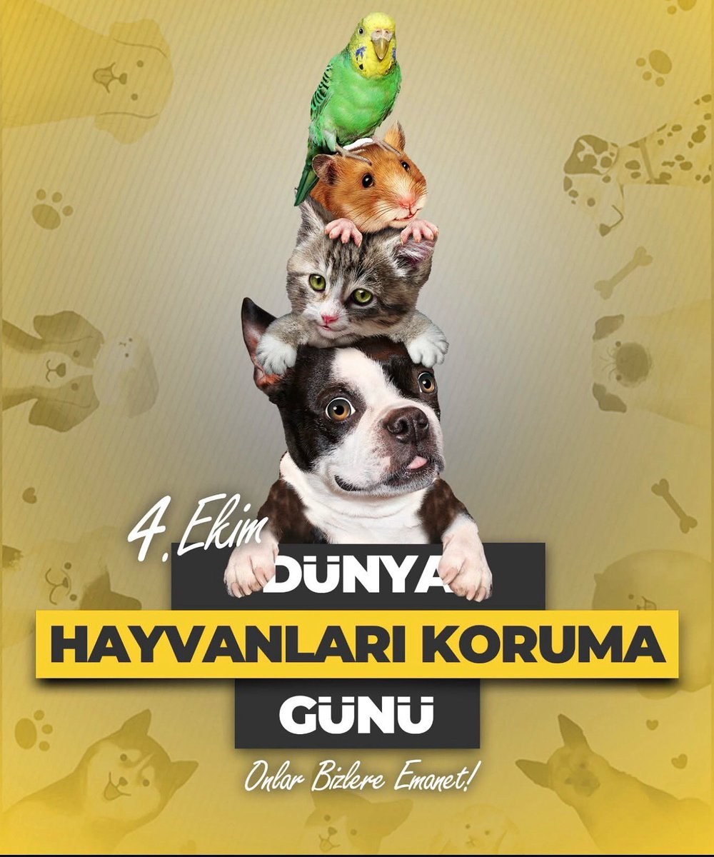 4 Ekim Dünya Hayvanları Koruma Günü kutlu olsun