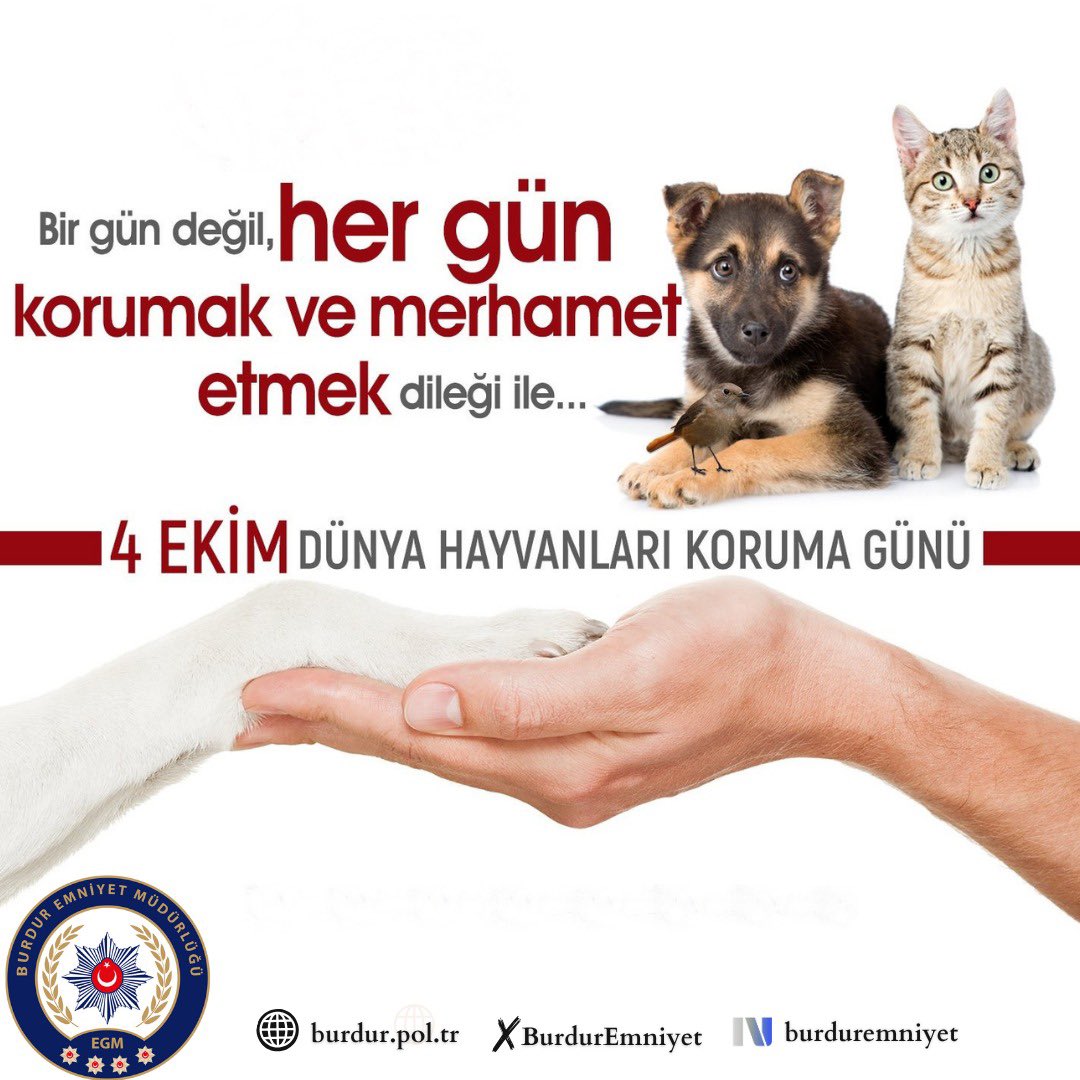 🌍 Bu dünya sadece bize ait değil…
Bugün; evimizdeki minik dostlarımızın yanı sıra, doğada özgürce yaşayan tüm hayvanları hatırlama ve onlara karşı sorumluluklarımızı unutmama günü. 🐾💚

#4EkimHayvanlariKorumaGunu

<a href="/Burdurvalilik/">T.C. Burdur Valiliği</a>
<a href="/AhmetKurt__27/">Ahmet KURT</a>