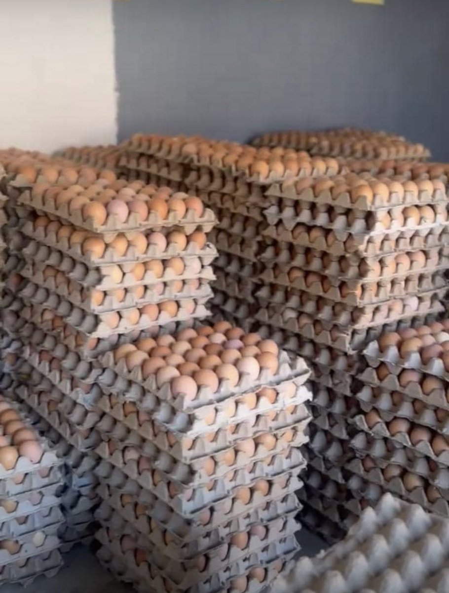 Fresh From Our Farm
13k/tray
Blantyre,Bangwe 
Kukikonse timatumiza 
Tabwera muzagule sitingadye tokha zonsezi😂🔥