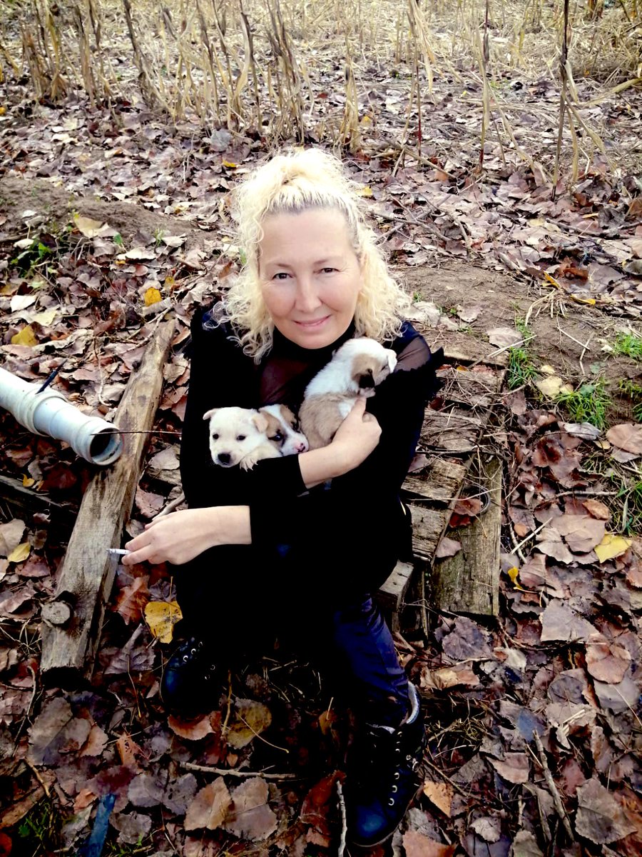 Bize itperes diyorlar ‘ köpek lobisi diyorlar sadece insan diyemediler yaşam hepimizin Allah’a inanan tüm canlılara merhamet ermeyi öğretir bir kap mama ‘ sevgi yaşatır #4EkimiKUTLAMIYORUZ kanlı yasaya hayır