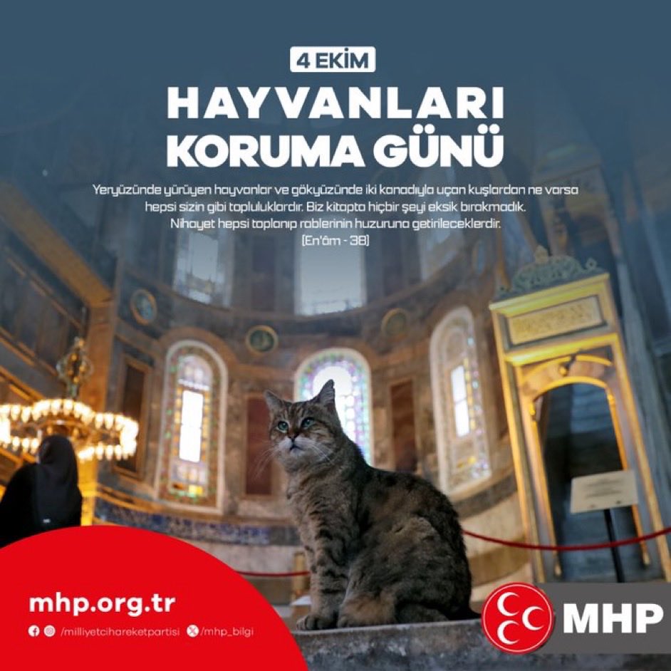 #4EkimHayvanlarıKorumaGünü Kutlu Olsun