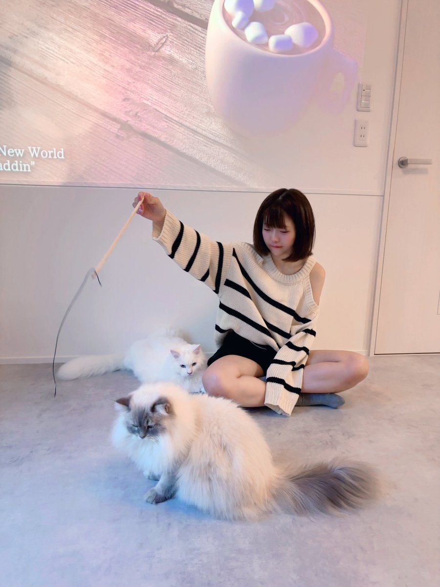 nyaromenia's tweet photo. 無事ルナちの家ついて、癒されました https://t.co/8X7DnrbFQq