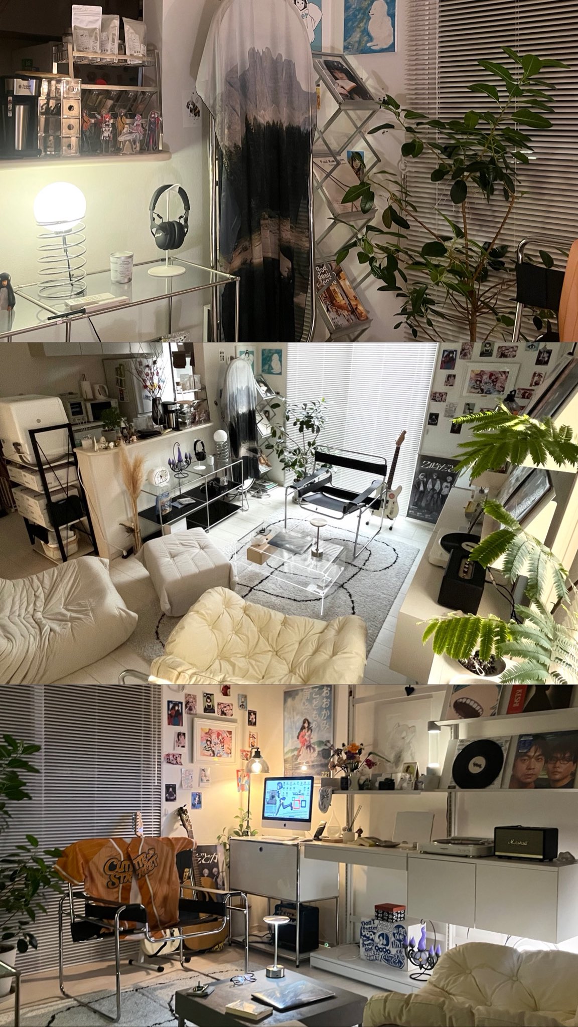 もふもふの飼い主 on X: 