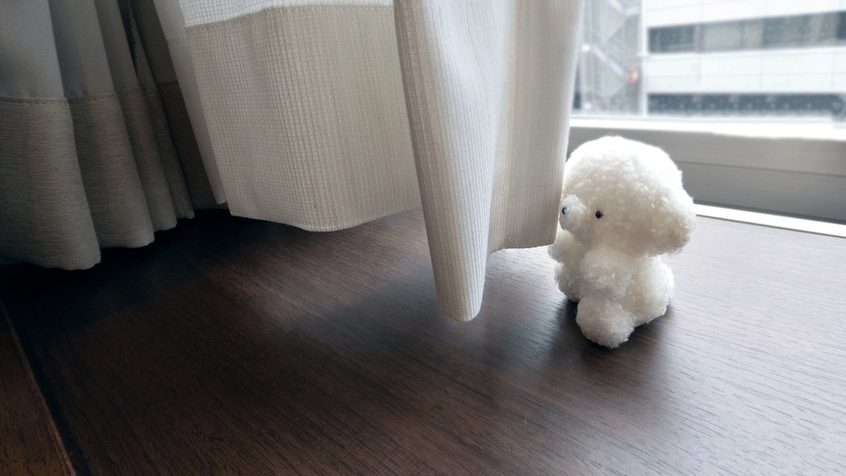 josemaru_model's tweet photo. ずと　がんばるする　つかれる https://t.co/X3KRyhGA6Q