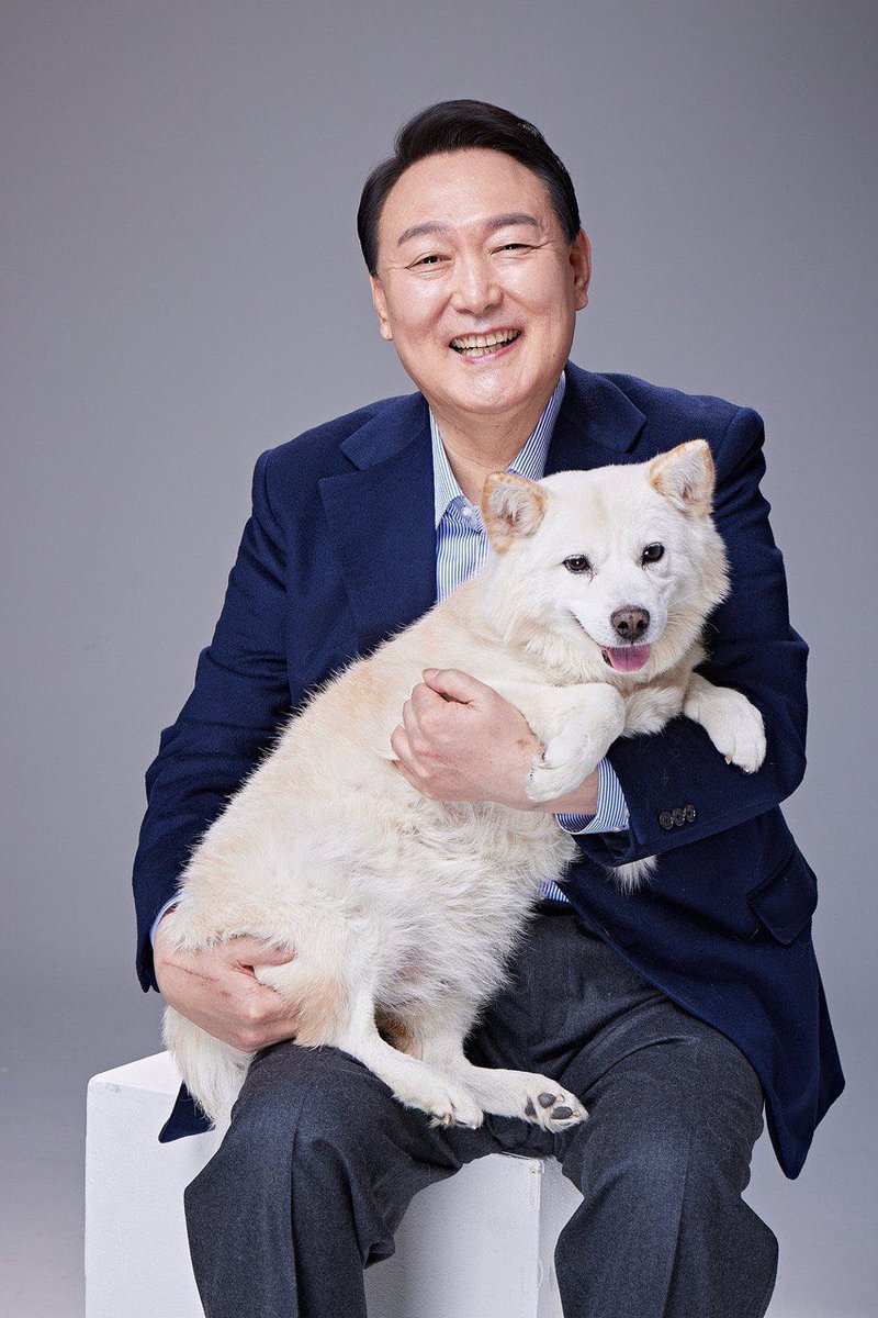 MUICHIRO tweet media