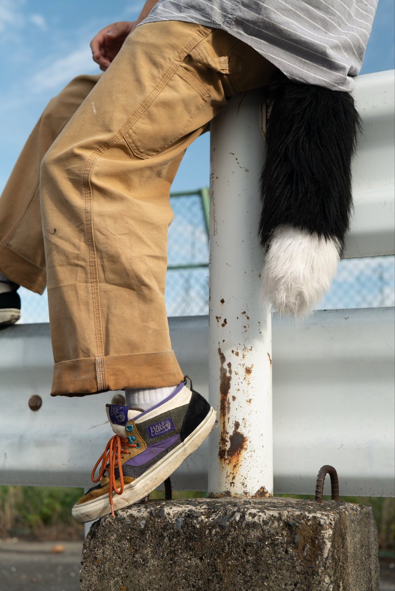 #BurninBernese #FursuitEveryday 
👟