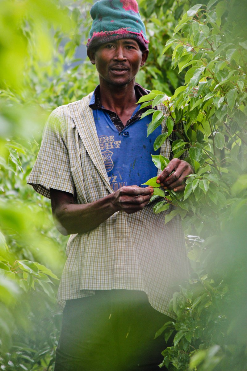 Au-delà des produits, Betsara c’est aussi un engagement :
🌿Respect des producteurs locaux
🌿Commerce équitable
🌿Durabilité
🌿Impact local à Madagascar.
