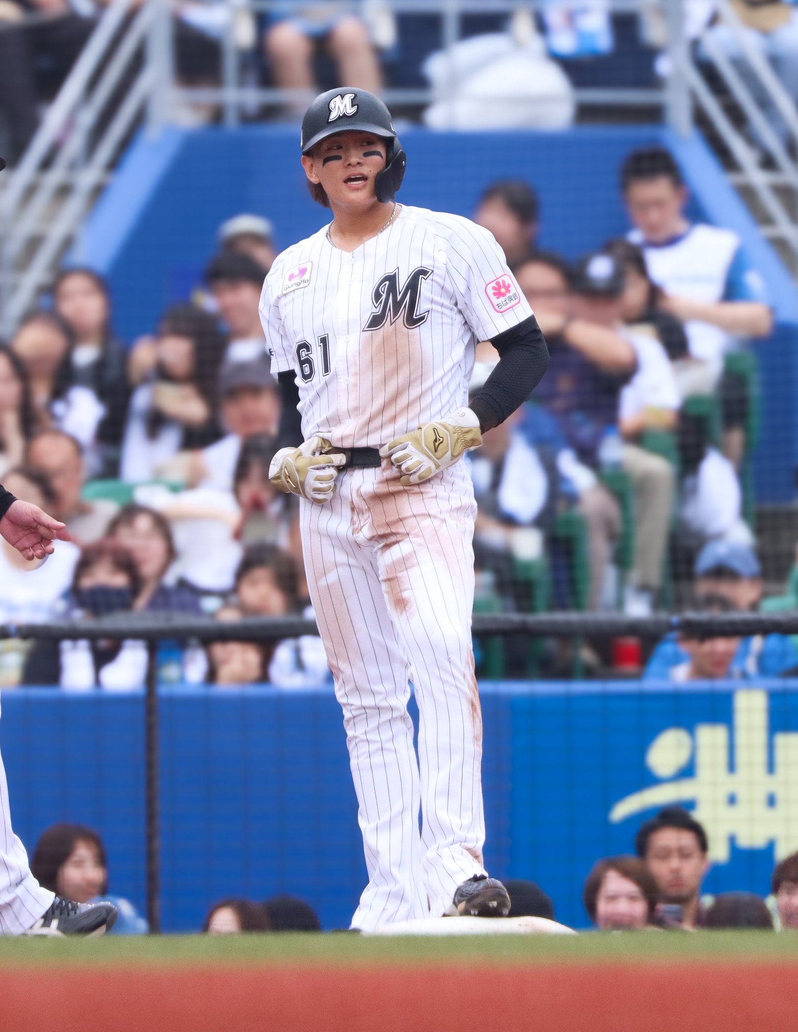 山本大斗様の魅力あるものです。 山本大斗様の魅力あるものです。 Photos by 山本大斗 Daito Yamamoto