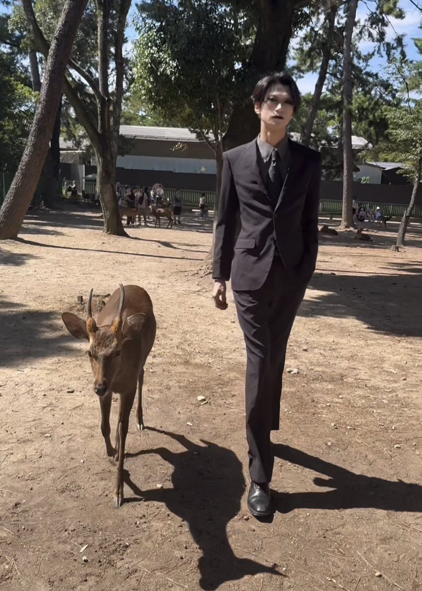 奈良公園の鹿さん
 instagram.com/reel/DPYcN6Ake…
