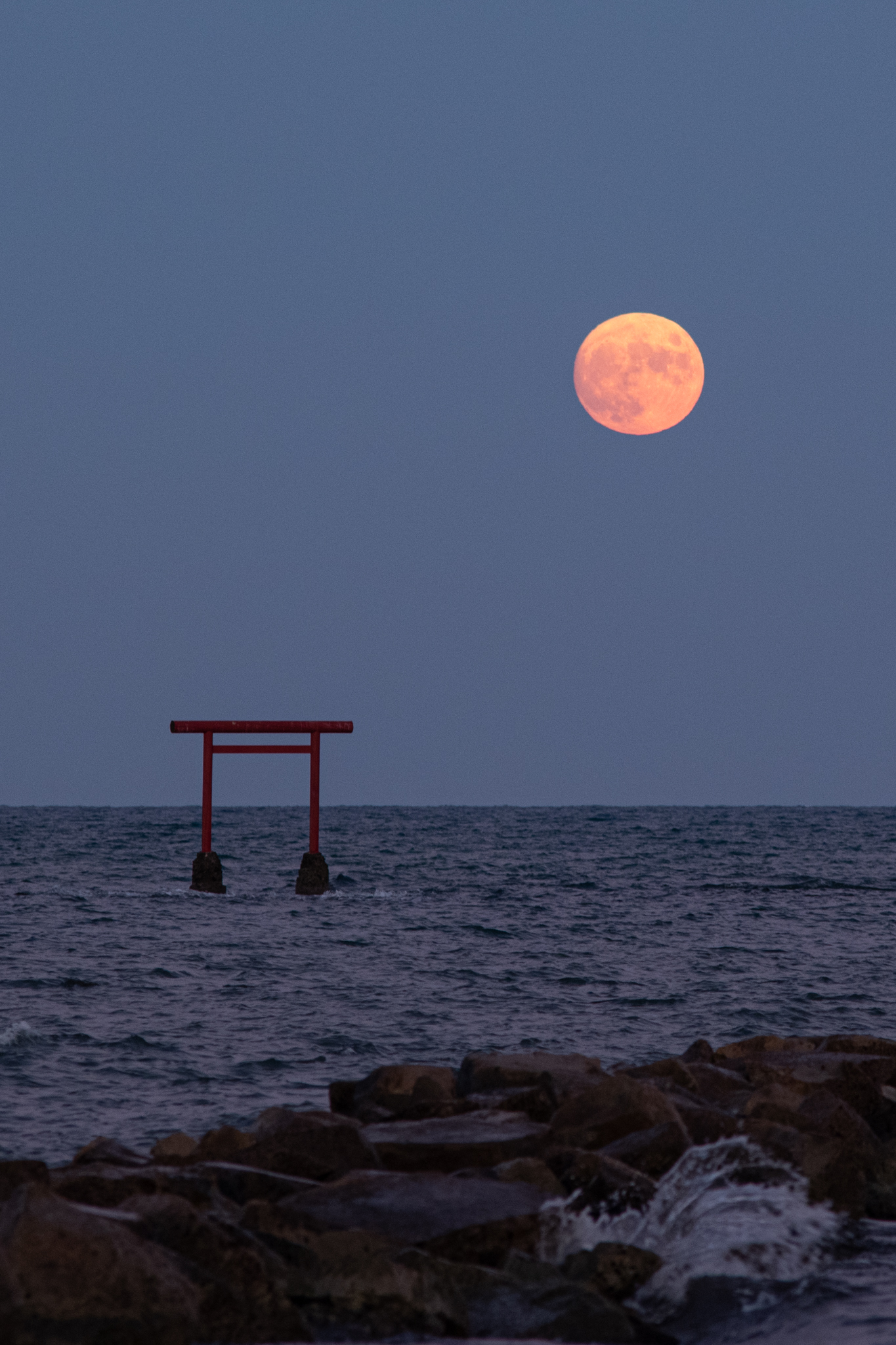 丸親ベイツ 裏月光 丸親ベイツ 裏月光