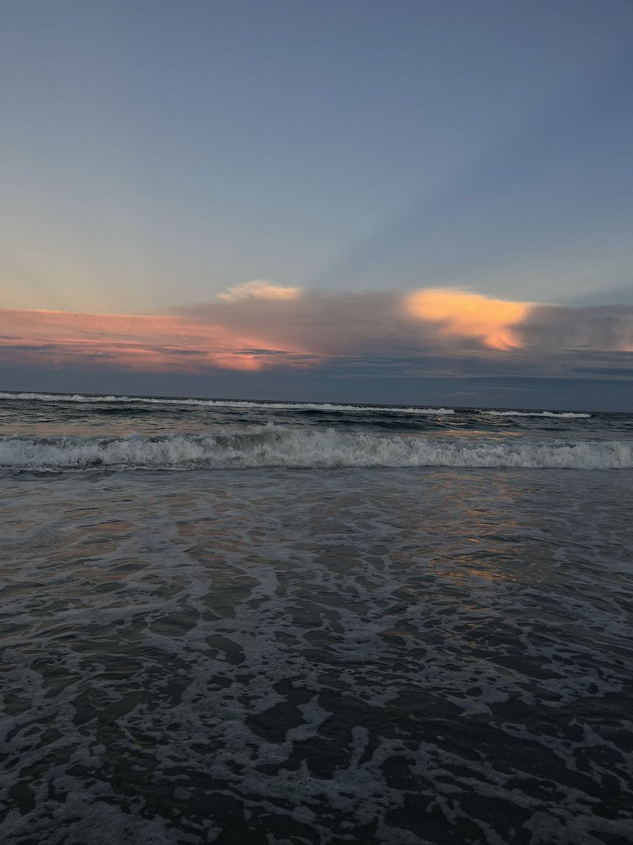 avoidmoosey's tweet image. avoid update: i’ve moved cross country in a 25 hr (3 days, really) road trip. here’s my photo proof!