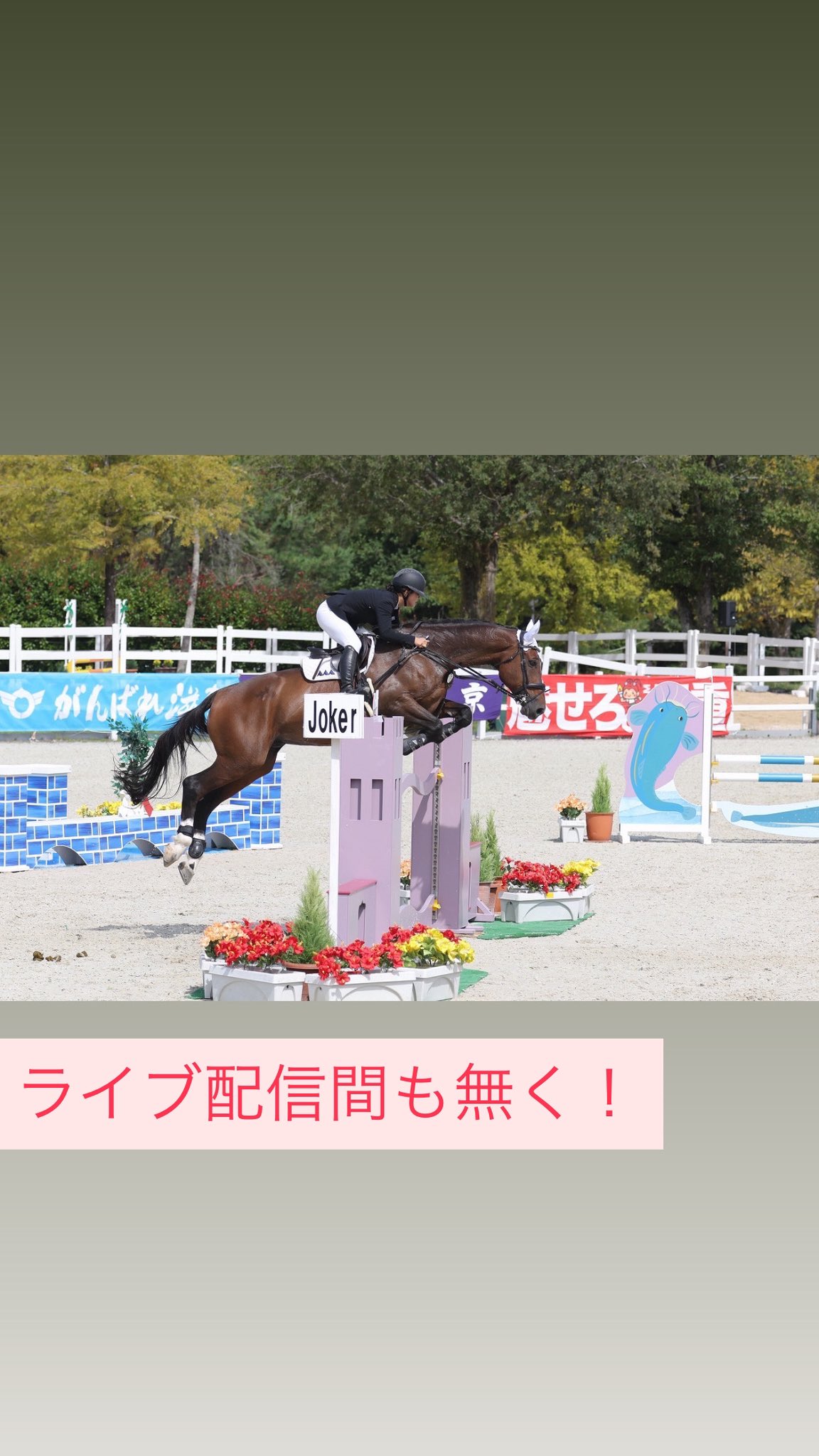 ゼンライディングクラブ (@ZeNridingclub) / X