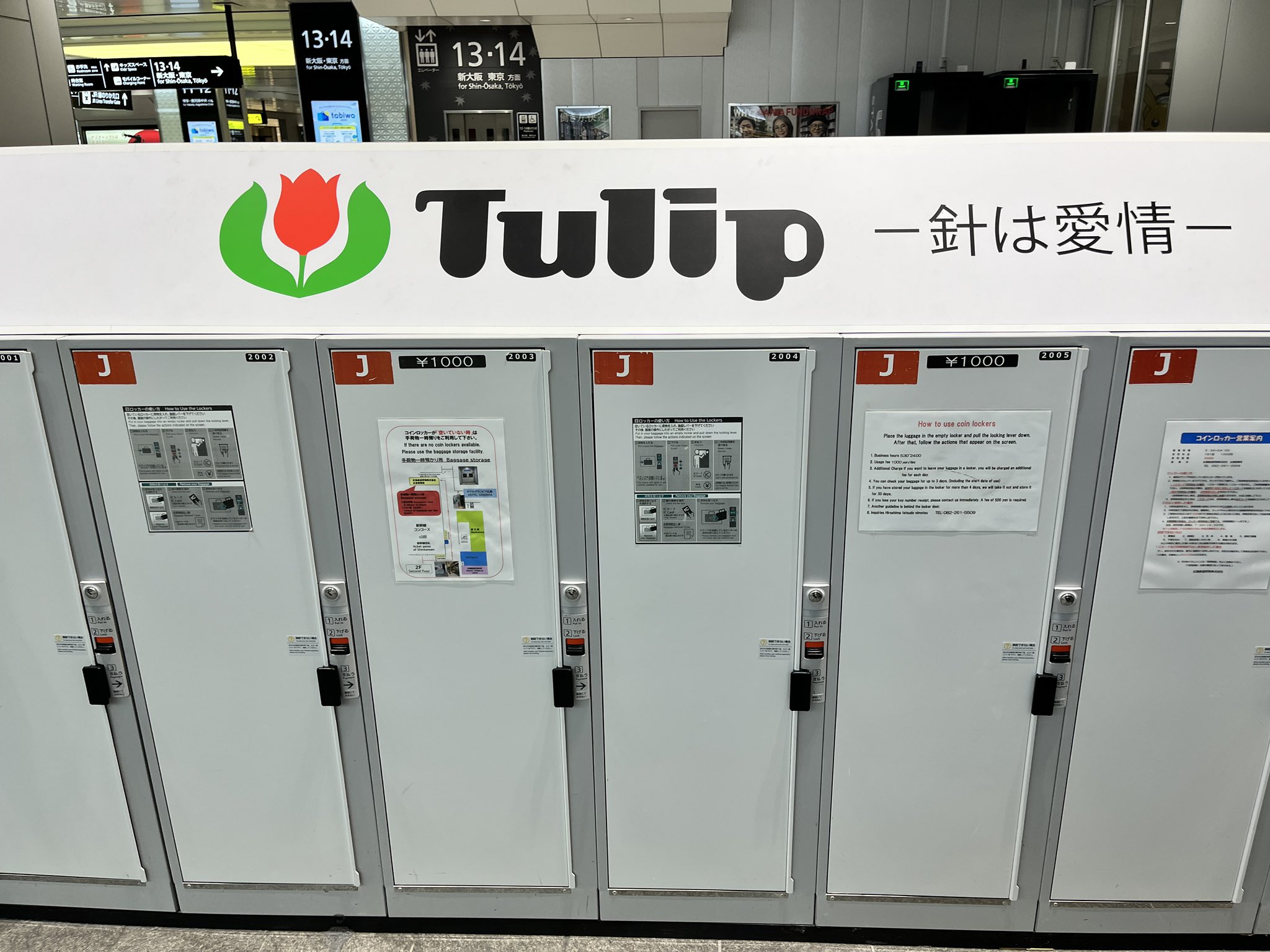 チューリップ様 リクエスト 4点 まとめ商品 チューリップ様 リクエスト 4点 まとめ商品 チューリップ様