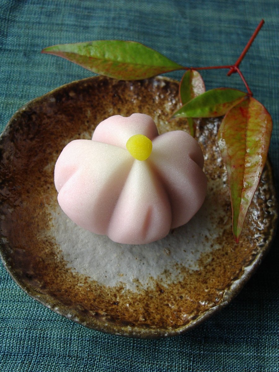 saboKOKUTANI's tweet image. 【本日の上生菓子】
「#秋海棠（しゅうかいどう）」

中は皮むきあんのお菓子、温かいお飲み物とどうぞ🍵

 ------ ご案内 ------ 
⚠️7㈫   #臨時休業
⚠️8㈬　12~16時 #貸切営業
✅9㈭10㈮ #通常営業

なお、10/7㈫ ～10㈮ #石川県九谷焼美術館 は展示入替のため #臨時休館 です🎨