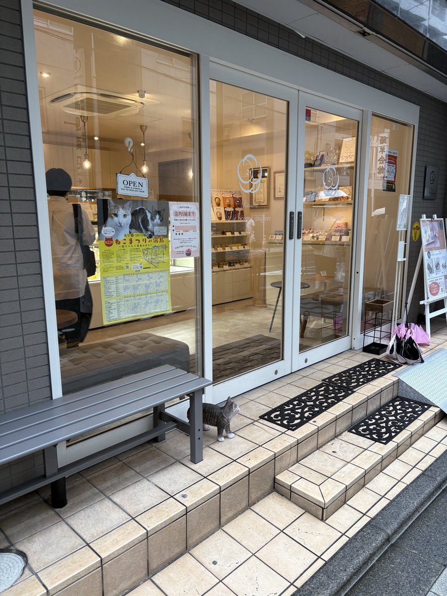 coffee10cacao's tweet image. 秋のねこまつりにも参戦中。
パティスリードゥボンヌオーギュルさん、まさかのイートインできるようになってた✨2席のみなので、空いてたらラッキー。ねこまつり限定のネコケーキすごく美味しかった😋
#yushima_neko 
#ねこまつりat湯島
#湯島
#ドゥボンヌオーギュル