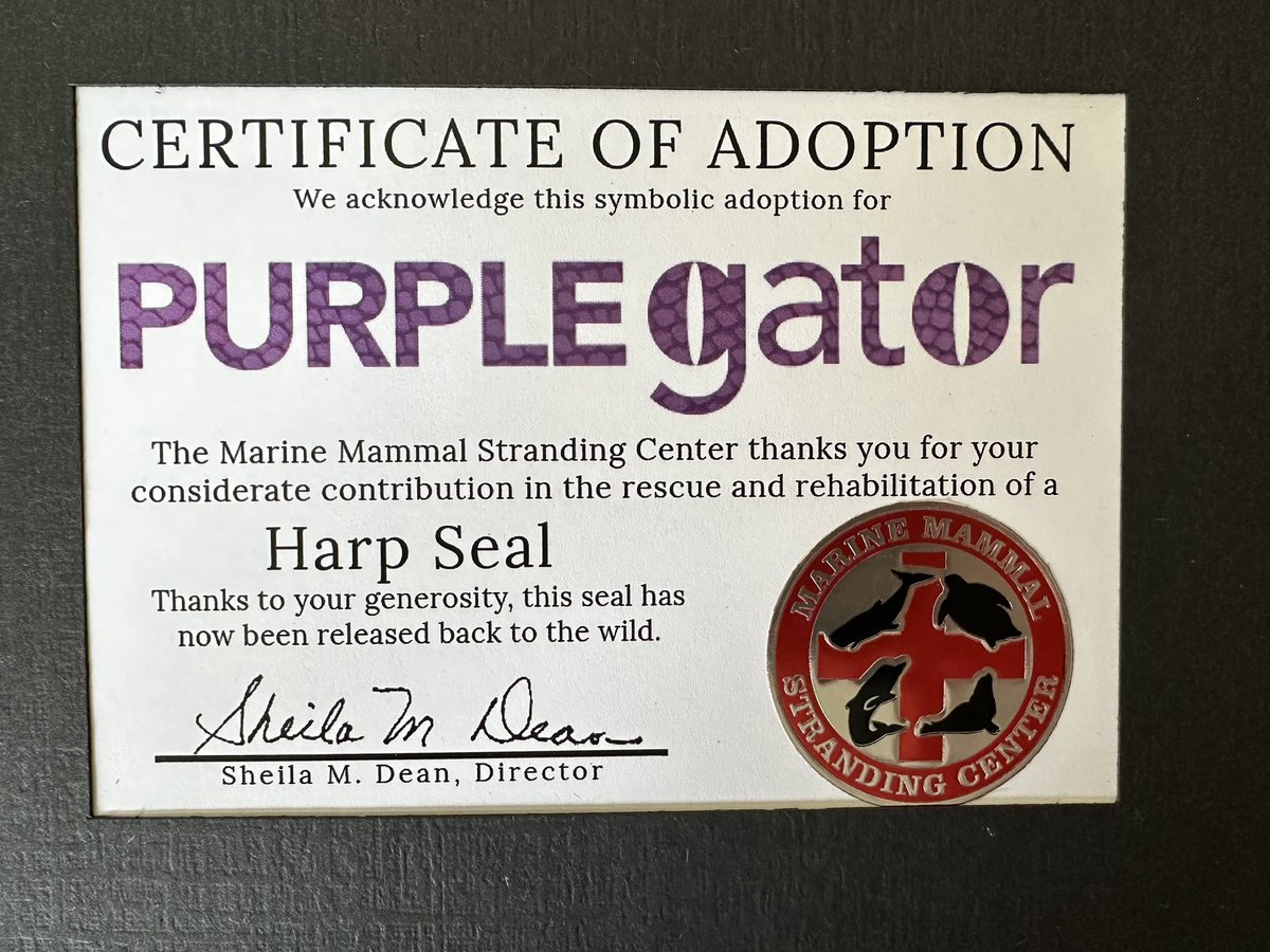 Purplegator, Marketing Agency & Consultants tweet media