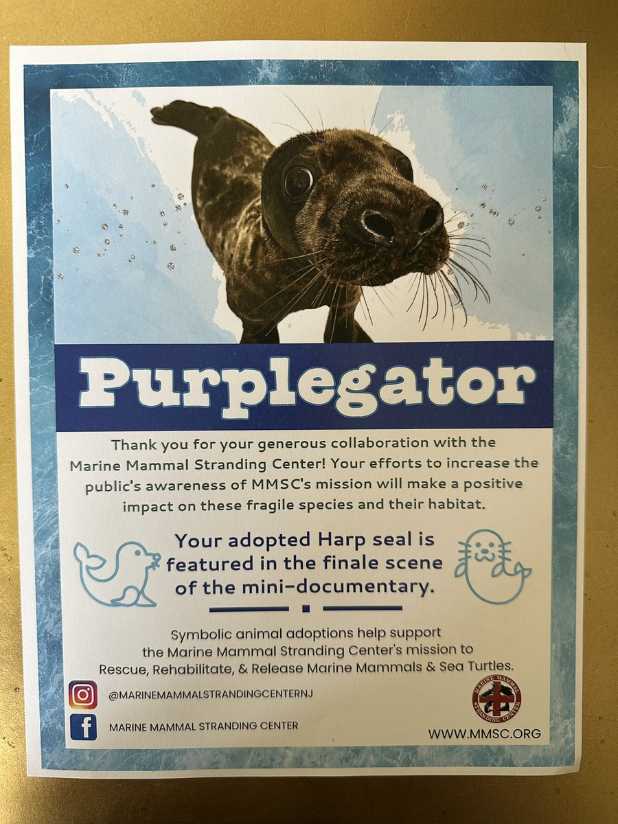 Purplegator, Marketing Agency & Consultants tweet media