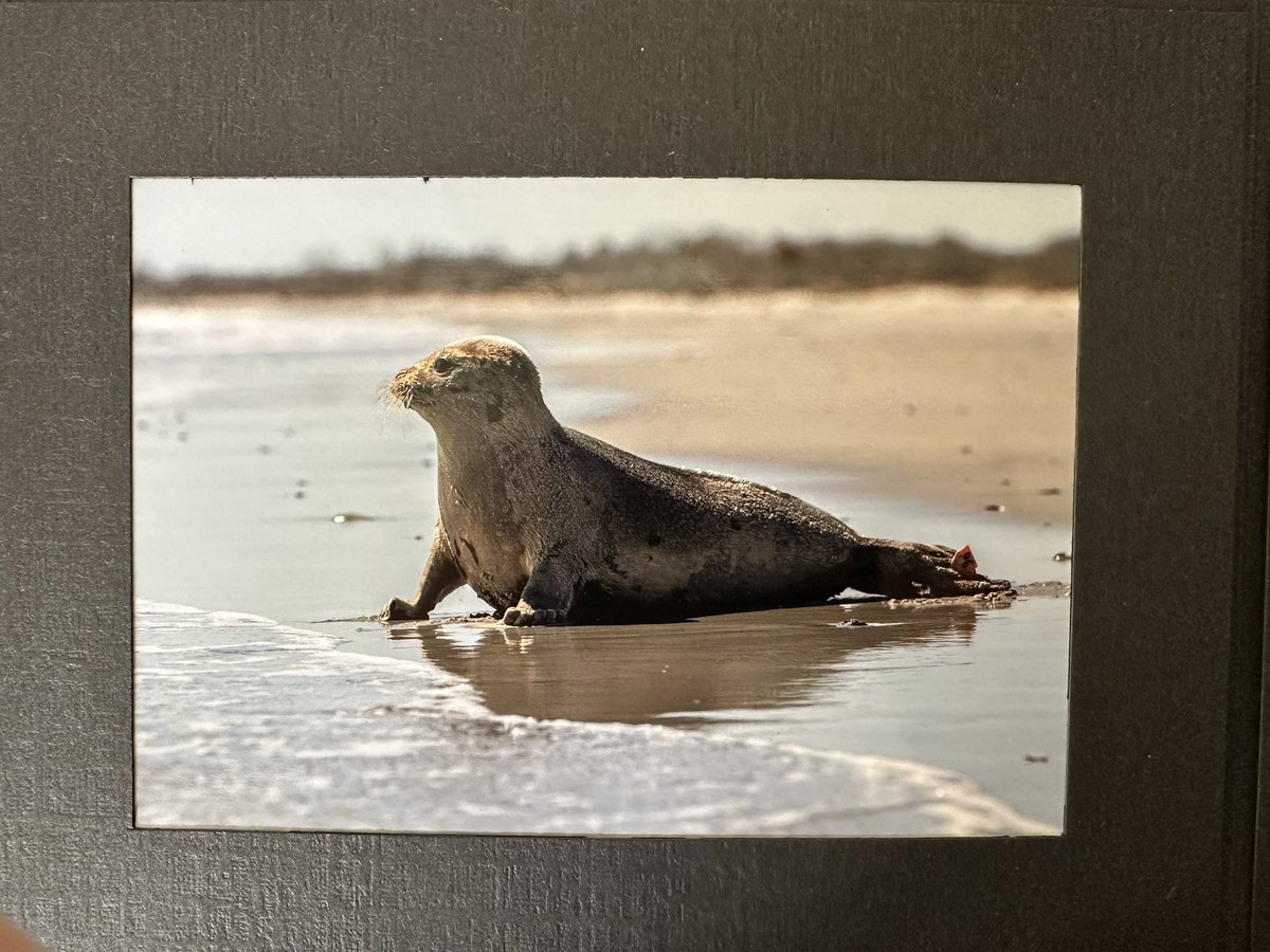 Purplegator, Marketing Agency & Consultants tweet media