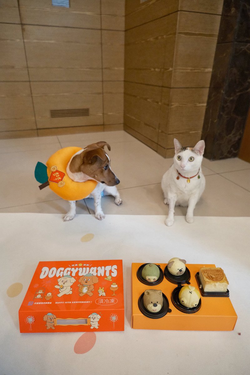 豆花🐱 &amp; Nana🐶
祝大家中秋節快樂 🎑

自掏腰包抽個「5位 × 10U」
一鍵三連 + 關注我 <a href="/caiti0417/">Tia 緹亞🌸</a> 
記得留言 BSC 地址
10/6 中秋節當天 隨機發送 💌

第一次抽U 雖然金額不大
但希望大家都能帶著愉快的心情
和親朋好友聚會、烤肉🍖
吃吃月餅、柚子 賞賞月🌕