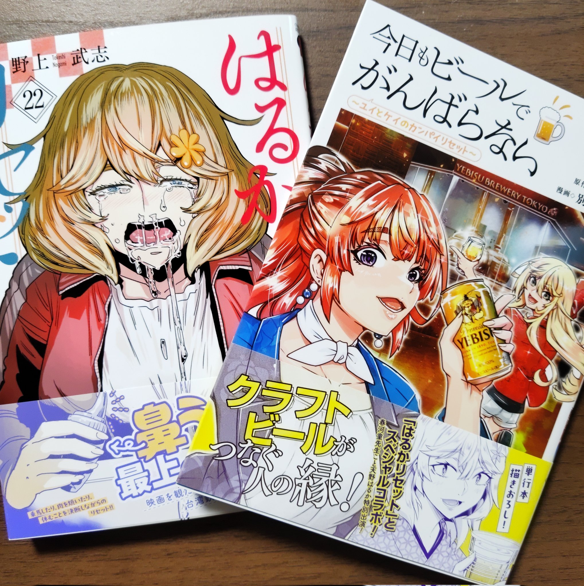 はるかページ Ex300-5 9149839/9096966 Undercarriage Parts Excavator Parts