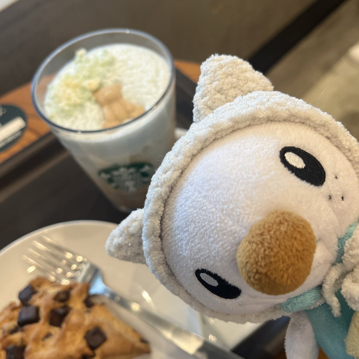 SAWA_handmade's tweet photo. くまさんドリンクおいしかった！
#ぬい撮り 
#ポケモンfit https://t.co/uIxdzoV0To