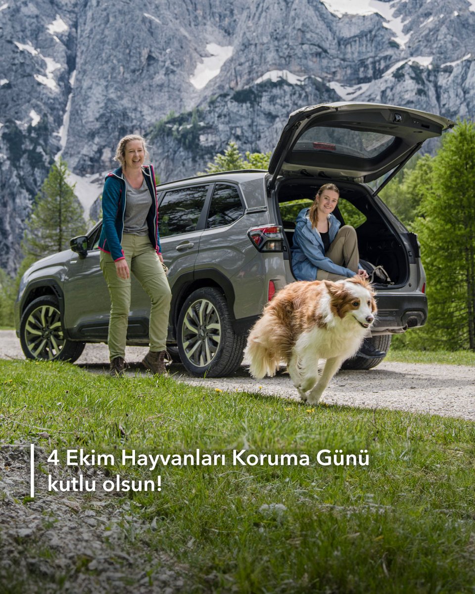 Doğanın sessiz kahramanlarıyla aynı yolda, aynı hayatı paylaşıyoruz. Onların yanında olmak, geleceği korumaktır.

4 Ekim Hayvanları Koruma Günü kutlu olsun! 🌿🐶
 
#Subaru #YolDostumSubaru #YeniForester #BilenBilir