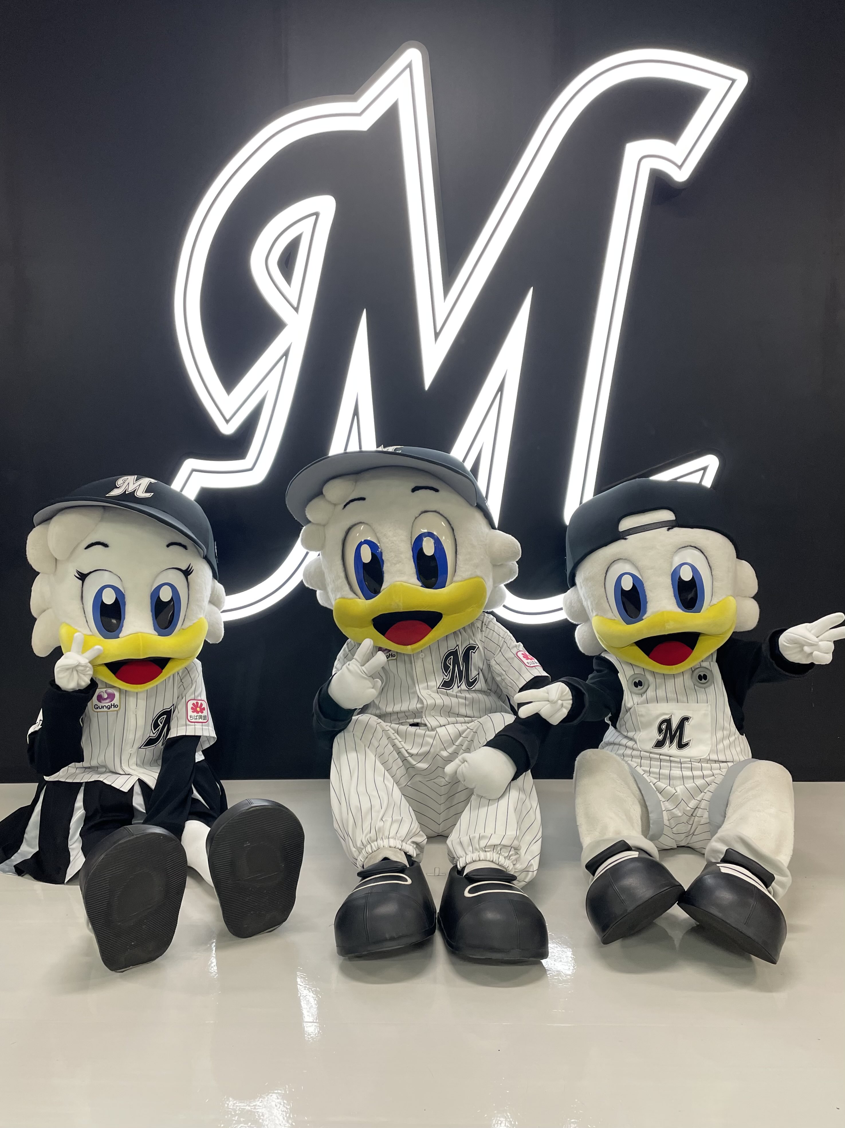 千葉ロッテマリーンズ マーくんセット 千葉ロッテマリーンズ マーくんセット 69 【マーくん/リーン