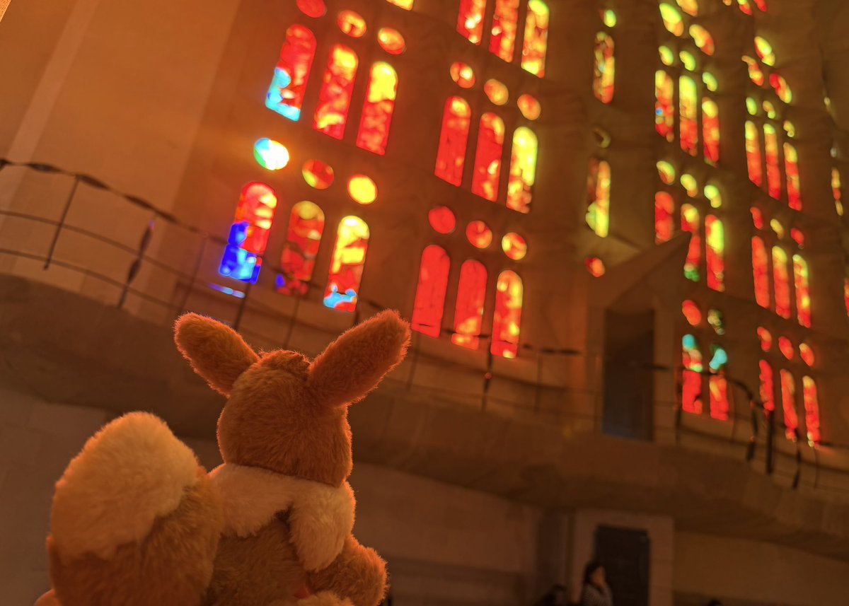 06wj's tweet photo. #Pokemon #eevee https://t.co/YXZIs2CKh5
